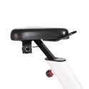 Desk Bike