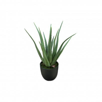 Kunstpflanze - Aloe Vera  (inkl. schwarzem Übertopf)