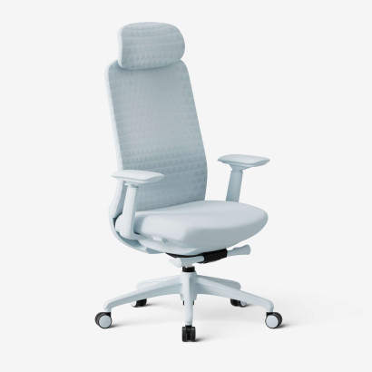 Ergonomischer Bürostuhl Bliss