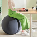 Zitbal Leitz Ergo Active