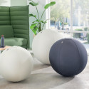 Zitbal Leitz Ergo Active