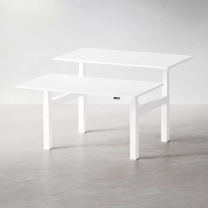 Zit sta dubbel bureau AdjusTable Bench PRO6