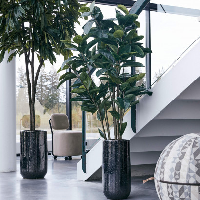Kunstplant Ficus Robusta