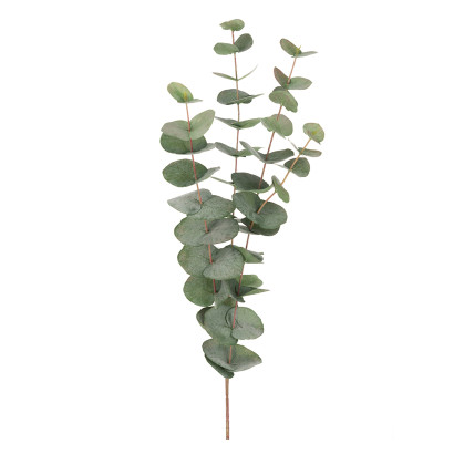 Kunstgewächs Eucalyptuszweig - 12er-Pack