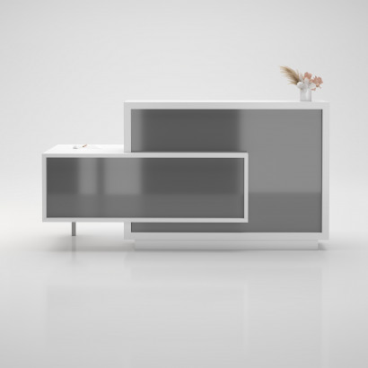 For modell 2 - Receptionsdisk