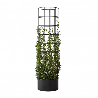 dB Pflanzensäule 160 cm hoch