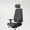 Ergonomischer Bürostuhl Signum