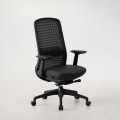 Ergonomischer Bürostuhl Bliss