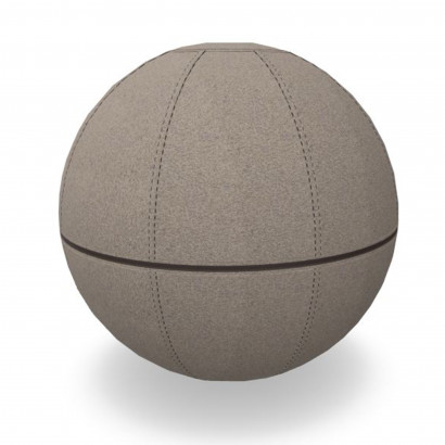 Sitzball Office Ballz