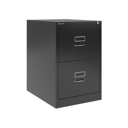 Standcontainer Bisley BS