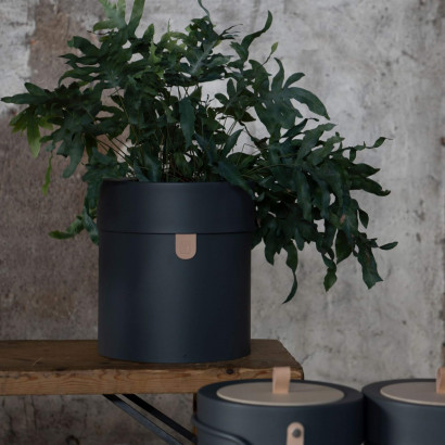 Blumentopf Bin There