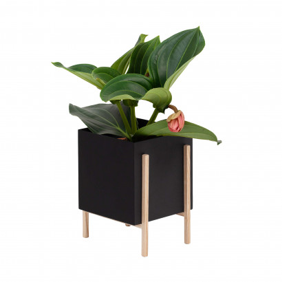 Blumentopf - Botanic Pedestal Pot