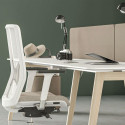 Teamarbeitsplatz Nova Wood - 4 Personen