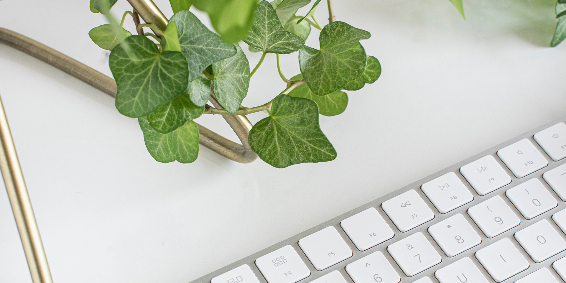 5 Tipps für ein umweltfreundliches Büro DPJ Workspace