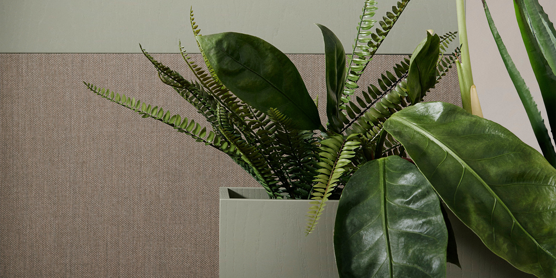 Kunstpflanzen in Bros | DPJ Workspace