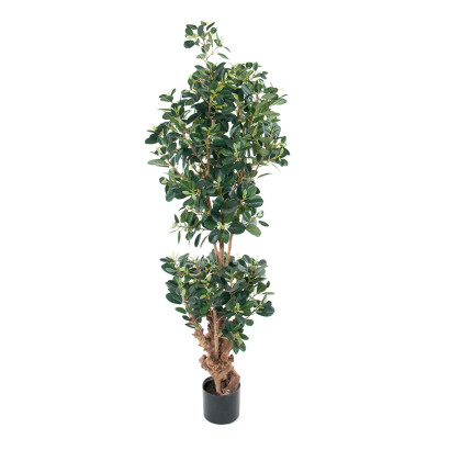 Kunstig plante Ficus Panda 120 cm - 2-pak