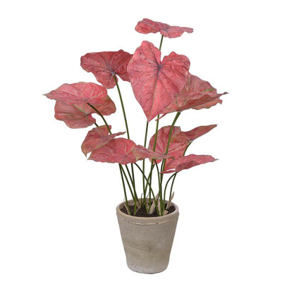 Kunstig plante Caladium - Med krukke