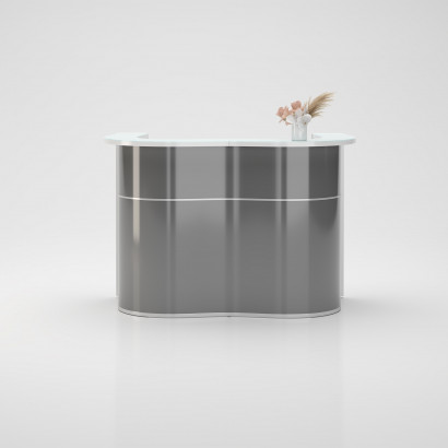 Receptionsdisk Wave Modell 1