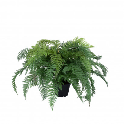 Kunst plante Bregne