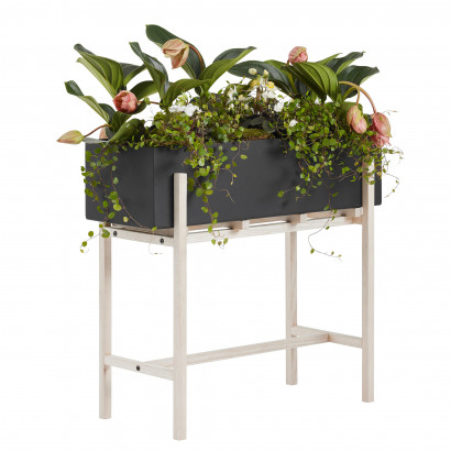 Blomsterstand Botanic Stand