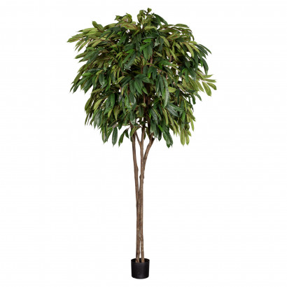 Kunst plante Longifolia træ