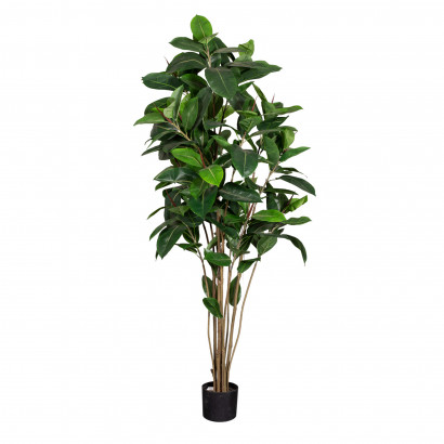 Kunst plante - Ficus Robusta