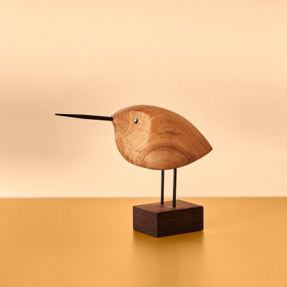 Beak Bird