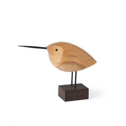 Beak Bird