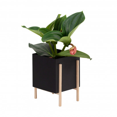 Blomsterkrukke - Botanic Pedestal Pot