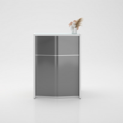 Receptionsdisk Wave Modell 3