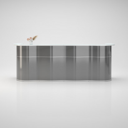 Receptionsdisk Wave Modell 4