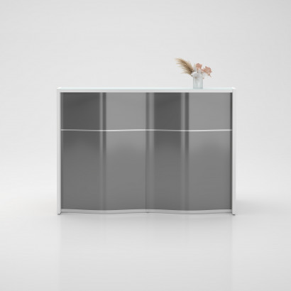 Wave Modell 5 - Receptionsdisk