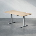 Sähköpöytä - Professional
