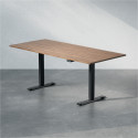 Sähköpöytä - Professional