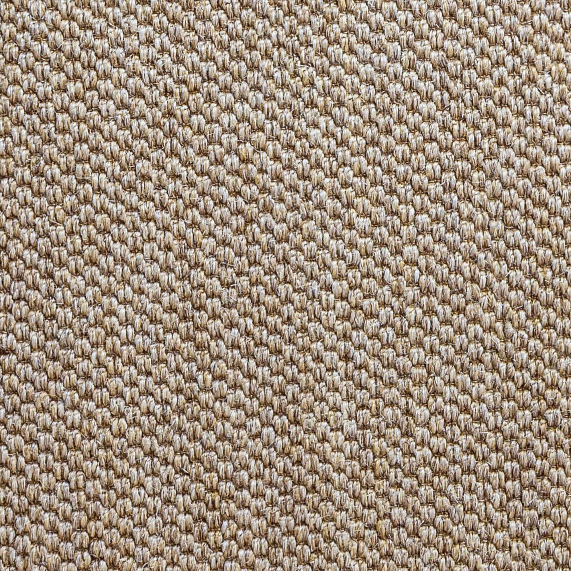 Matto Belize | DPJ Workspace