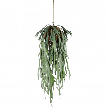 Plante artificielle Platycerium bifurcatum - Fougère corne d'élan