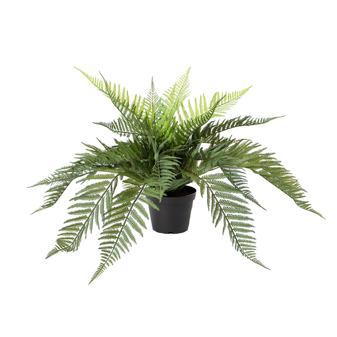 Plante artificielle Fougères Filicophyta