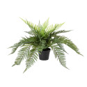 Plante artificielle Fougères Filicophyta