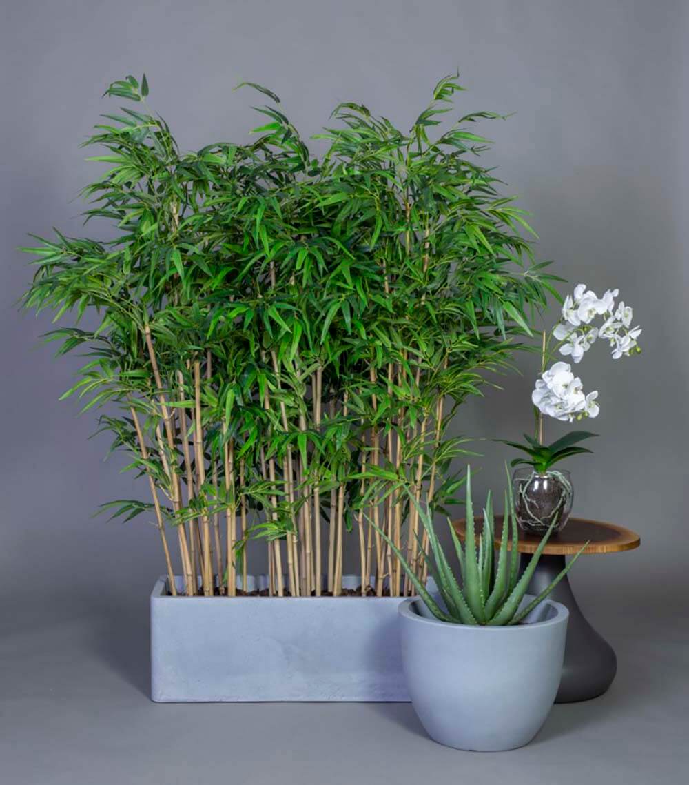 Kunst plante Bambus Small | DPJ Workspace