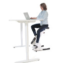 Desk Bike