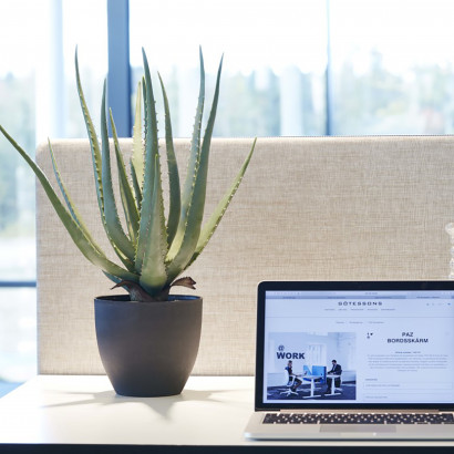 Kunstplant- Aloe Vera  (incl. zwarte pot)