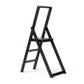 Ladder Step